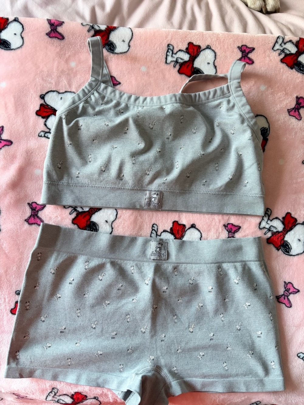 Snoopy Lounge Set